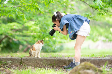 一眼レフカメラで猫の写真を撮る少女