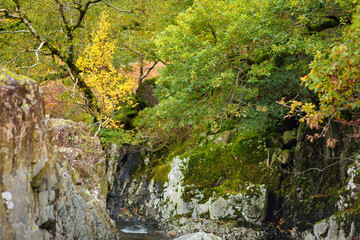 Wild waters of Stonethwaite Beck, a small river formed at the confluence of Langstrath Beck and Greenup Gill beneath Eagle Crag, Cumbria, England