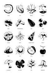 hand drawn icon set of natural.