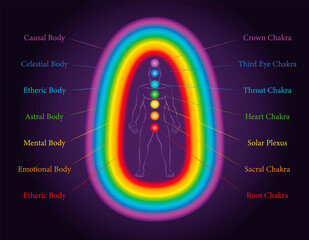 Aura bodies. The seven layers of a meditating man with related chakras in the same colors. Etheric, emotional, mental, astral, celestial and causal layer. Labeled vector illustration chart.
 - obrazy, fototapety, plakaty