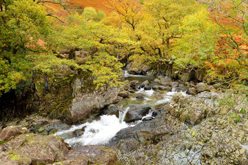 Wild waters of Stonethwaite Beck, a small river formed at the confluence of Langstrath Beck and...