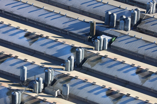 Aerial View Of A Frost Covered Chicken Farm In The UK. An Aerial Photograph Showing A Large Chicken Farm In The UK. It Was Taken From A Helicopter On A Cold Frosty Day With Low Winter Shadows.