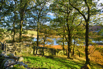 Scenic view of Great Langdale valley in the Lake District, famous for its glacial ribbon lakes and rugged mountains. Popular vacation destination in Cumbria, North West England.