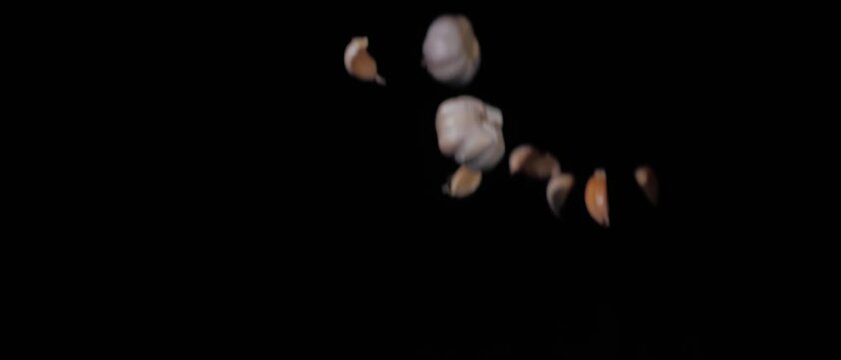 Garlic cloves and the whole one are tossed up and spinning on a black background in slow motion shot