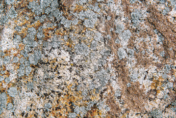 old stone wall texture
