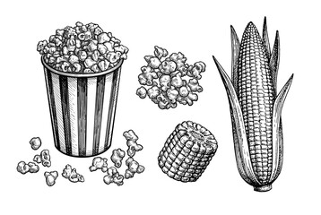 Popcorn and corn set. - obrazy, fototapety, plakaty
