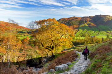 Male hiker exploring the Great Langdale valley in the Lake District, famous for its glacial ribbon...