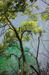 Fototapeta premium Nationalpark, Plitvicer-Seen, Unesco -Weltnaturerbe, 