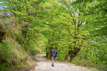 A young father with the newborn child in the backpack on a path in the forest heading to the picnic with the family