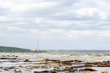 A discarded driftwood on a beach. Ob sea in Novosibirsk, spring season. A red and white lighthouse...