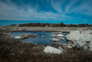 Field of stones