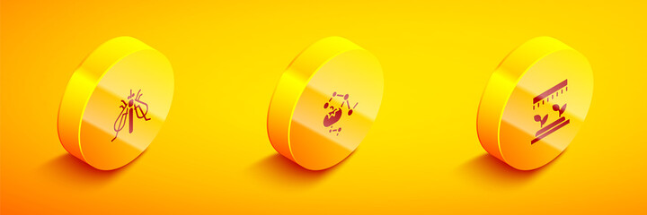 Set Isometric Experimental insect, Genetically modified food and Automatic irrigation sprinklers icon. Vector