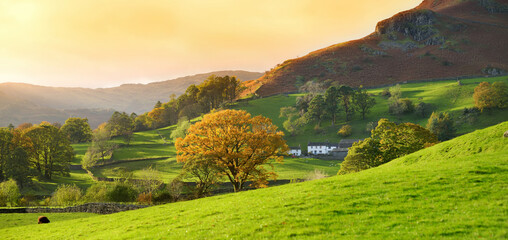 Endless lush pastures and farmlands of England. Beautiful English countryside with emerald green...