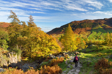 Male hiker exploring the Great Langdale valley in the Lake District, famous for its glacial ribbon lakes and rugged mountains.