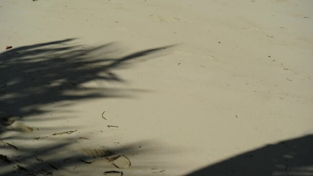 Shadows palm leaf in wind overlay on sand beach texture background. Tropical island. Maldives
