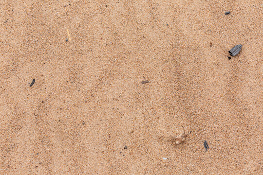 Sand with pieces of coal on the tourist beach.