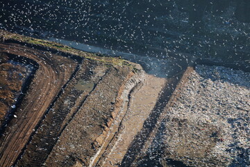 An aerial view of a landfill site in the UK. The photograph shows piles of rubbish as well as thousands of birds. flying and nesting.
