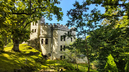castle in the forest