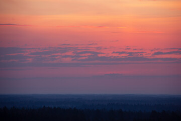Beautiful sunrise above a top of trees