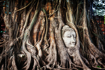 Head of Sandstone Buddha in The Tree Roots at Wat Mahathat, Ayutthaya, Thailand