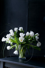 beautiful white tulips on black background