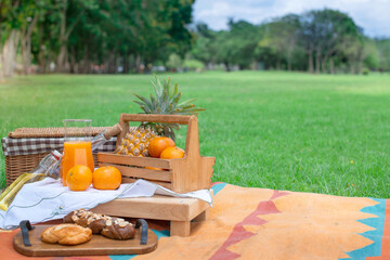 Picnic basket with fruits, pineapples and oranges on picnic cloth, green grass in summer park