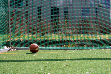 ball in a goal