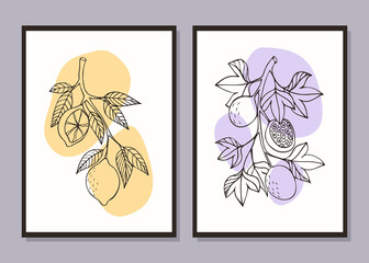 Fruit set of minimalistic posters. Lemon and passion fruit. Vector illustration in the style of engraving.