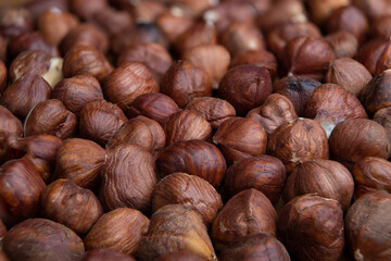 Hazelnuts horizontal background full fill up. Big in focus depth of field