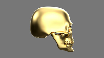 Skull in profile isolated on a grey background. 3d render gold skull
