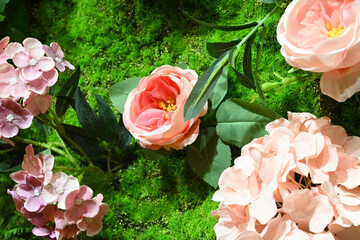 분홍색 로즈 클로즈업, 초록 자연 배경속 장미