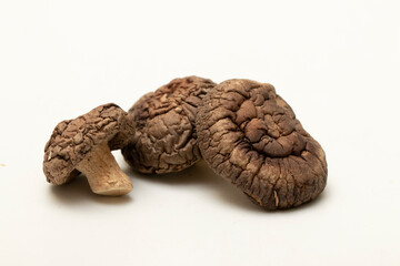 Close up shot of Shiitake Mushroom Isolated White Background.