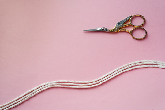 Retro scissors made of gold and silver in the form of a bird on a pink background and three white cotton threads. Handicraft, seamstress, dressmaker, macrame, embroidery.