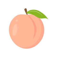 Peach fruit with leaf. Whole fresh fruit on a white isolated background. Flat vector illustration.