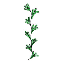 Vector set elements for design flowers and ornaments floral