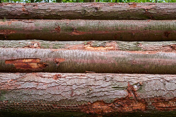 Pile of chopped down logs lying horizontal lengthwise.