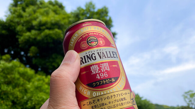 https stock adobe com images kirin spring valley 496 2021 5 431727213 start checkout 1 content id 431727213