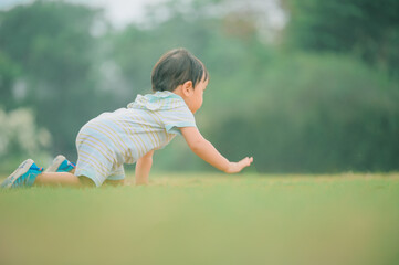 Boy among green grass on a summer day. A small child has fun in the fresh air. Baby explores the nature