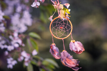 Dream cather hanging at blooming tree in wind. Spring blossom and ritual dreamcatcher amulet. Spirituality concept - obrazy, fototapety, plakaty