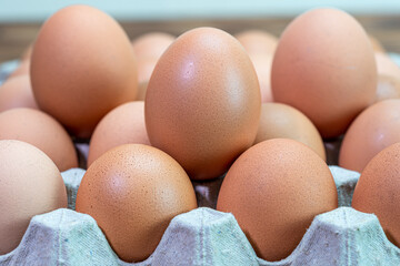 Natural organic chicken eggs of poultry in carton paper 