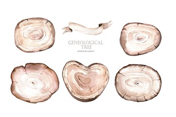 The wooden cut. Watercolour illustration isolated on white background. Hand painted wooden slices.