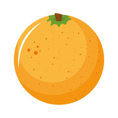 orange citrus fruit icon