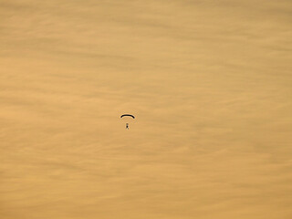Skydiver in the sunset