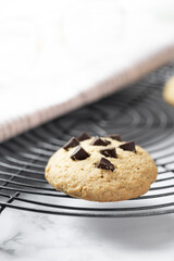 Delicious Whole Wheat Chocolate Chip Cookies set on white cafe table.