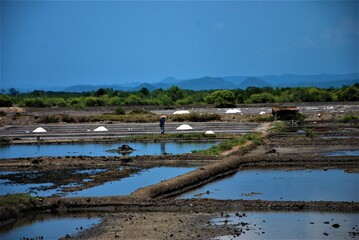 salt pond farmer