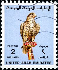 stamp printed in UAE shows Falcon, Bird of Prey