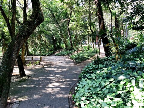 Urban life. Balance between buildings and nature. Park in the middle of the city. Very green and fresh air.