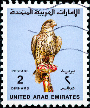 Stamp Printed In UAE Shows Falcon, Bird Of Prey