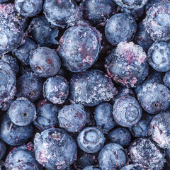 Frozen blueberries background.Water drops on ripe sweet blueberry. Fresh blueberries background with copy space for your text. Vegan and vegetarian concept.Texture blueberry berries close up