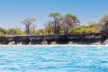 Foto op Canvas Wasini Island and Kisite-Mpunguti Marine National Park, Kenta, Africa © Marc Stephan